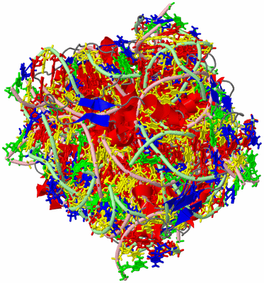 Image NMR Structure - all models