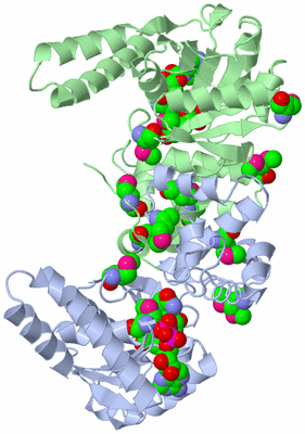 Image Asym./Biol. Unit