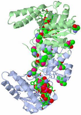 Image Asym./Biol. Unit - sites