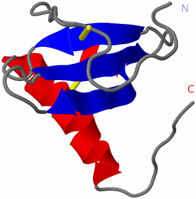 Image NMR Structure - model 1