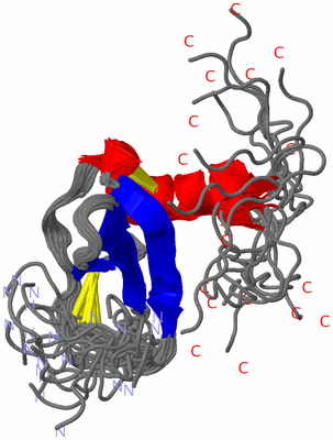 Image NMR Structure - all models