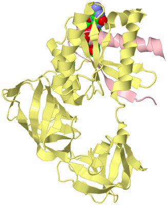 Image Biological Unit 2