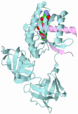 Image Biological Unit 3