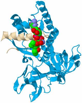 Image Biological Unit 5