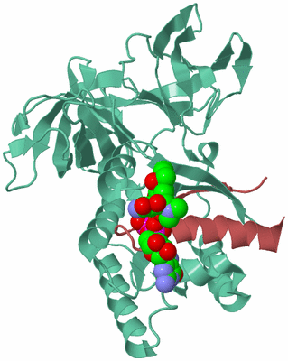 Image Biological Unit 6