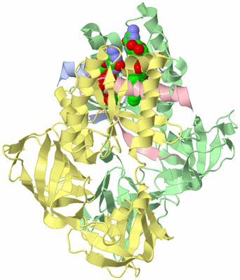 Image Biological Unit 7