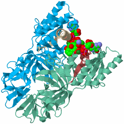 Image Biological Unit 8