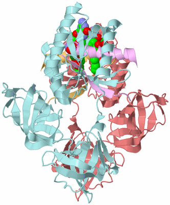 Image Biological Unit 9