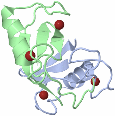 Image NMR Structure - model 1