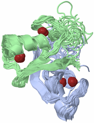 Image NMR Structure - all models