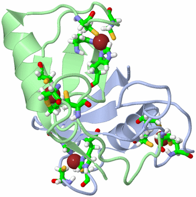 Image NMR Structure - model 1, sites