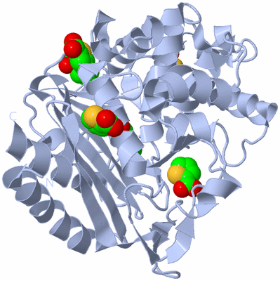 Image Biological Unit 1