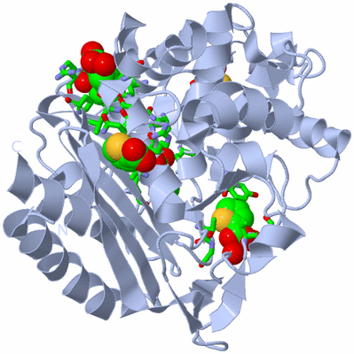 Image Biol. Unit 1 - sites