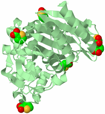 Image Biological Unit 2