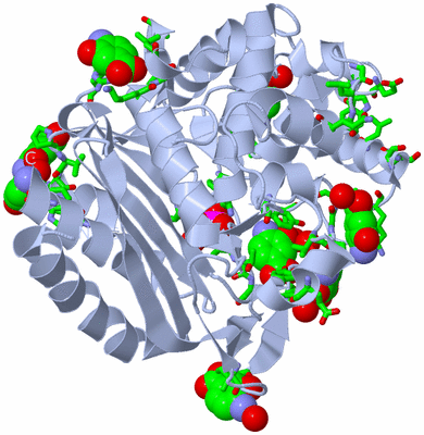 Image Biol. Unit 1 - sites