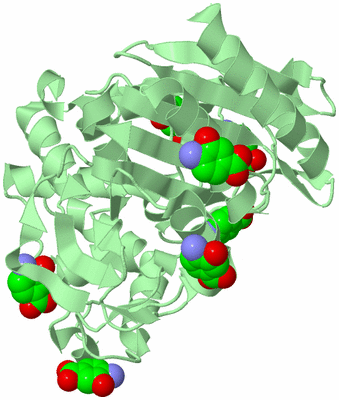 Image Biological Unit 2