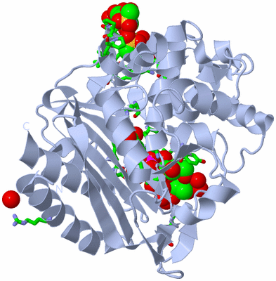 Image Biol. Unit 1 - sites