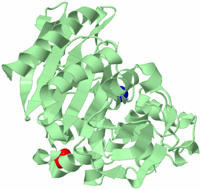 Image Biological Unit 2