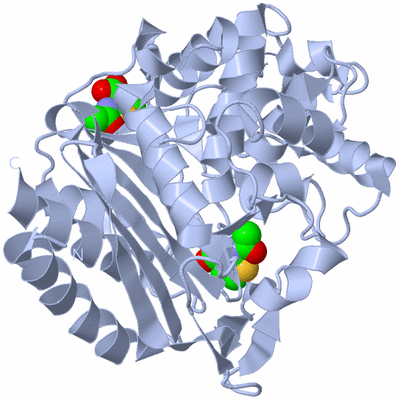 Image Biological Unit 1