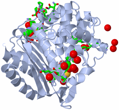 Image Biol. Unit 1 - sites