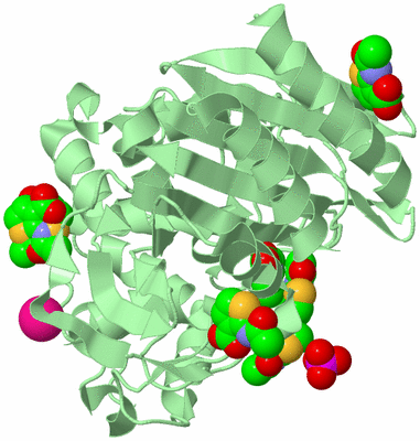 Image Biological Unit 2