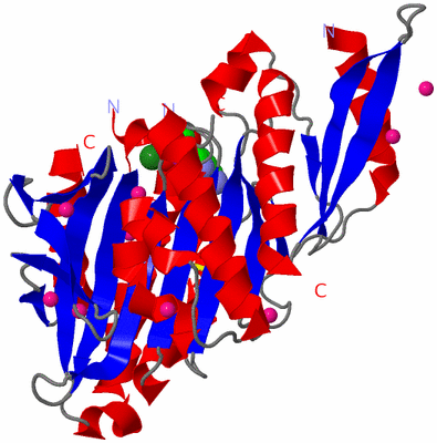 Image Asym./Biol. Unit