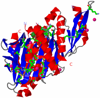 Image Asym./Biol. Unit - sites