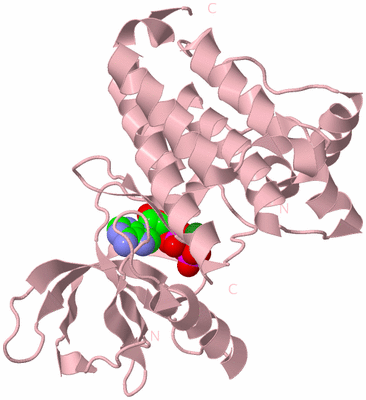 Image Biological Unit 3