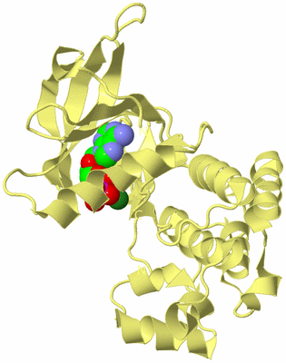 Image Biological Unit 4