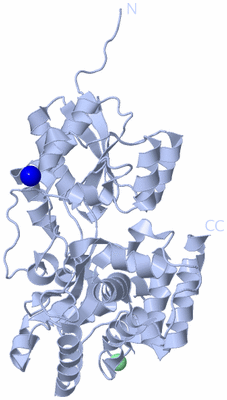 Image Biological Unit 1