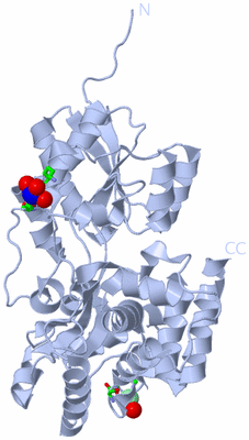 Image Biol. Unit 1 - sites