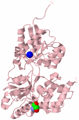 Image Biological Unit 3