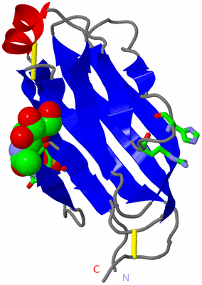 Image Asym. Unit - sites