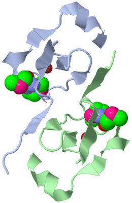 Image Biological Unit 3