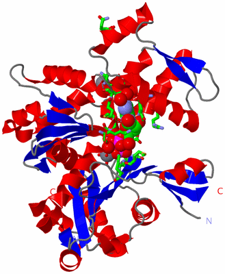 Image Asym./Biol. Unit - sites