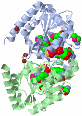 Image Asym./Biol. Unit