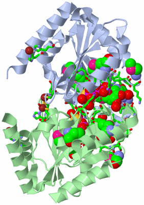 Image Asym./Biol. Unit - sites