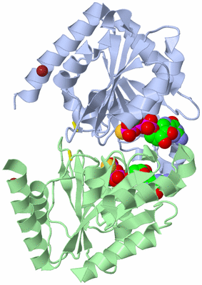 Image Biological Unit 1