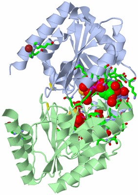 Image Biol. Unit 1 - sites