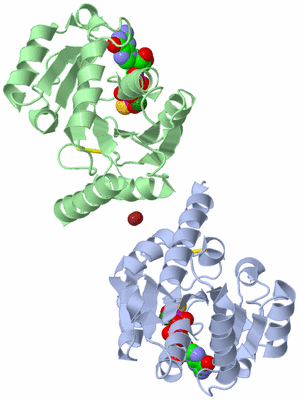 Image Biological Unit 2