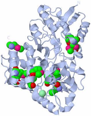 Image Biological Unit 1