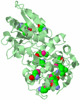 Image Biological Unit 2