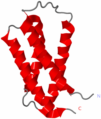 Image NMR Structure - model 1
