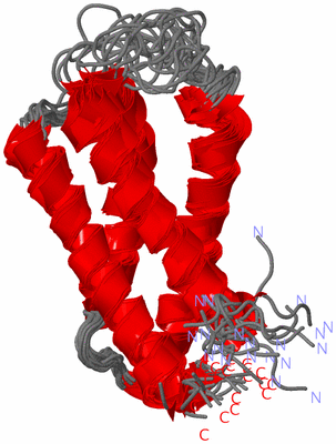 Image NMR Structure - all models