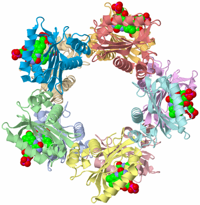 Image Asym./Biol. Unit