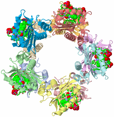 Image Asym./Biol. Unit - sites