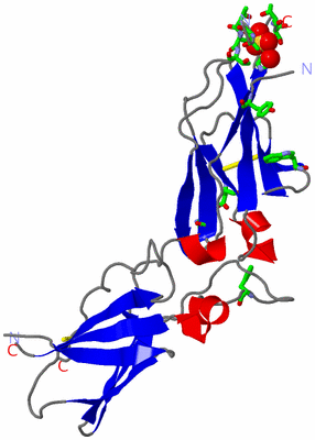 Image Asym. Unit - sites