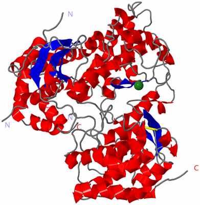 Image Asym./Biol. Unit