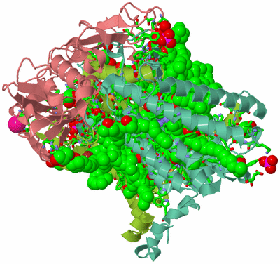 Image Asym./Biol. Unit - sites