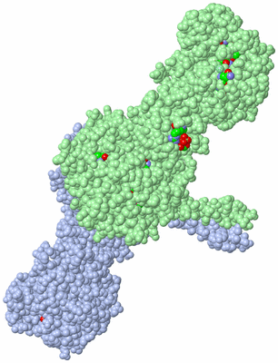 Image Biol. Unit 1 - sites